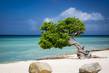 奧拉涅斯塔德港口查詢_oranjestad,aruba港口代碼_阿魯巴奧拉涅斯塔德港口代碼