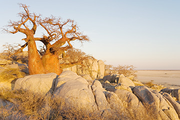 博茨瓦納杭濟(jì)三字代碼(GNZ),杭濟(jì)(Ghanzi)四字碼,博茨瓦納機(jī)場(chǎng)三字碼查詢(xún)