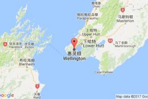 惠靈頓港口查詢(xún)_wellington港口代碼_新西蘭惠靈頓港口代碼