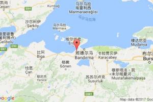 埃丁吉克港口查詢_edincik港口代碼