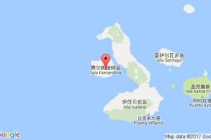 費(fèi)南迪納港口查詢_fernandina港口代碼_美國(guó)費(fèi)南迪納港口代碼